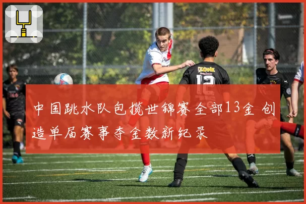 中国跳水队包揽世锦赛全部13金 创造单届赛事夺金数新纪录
