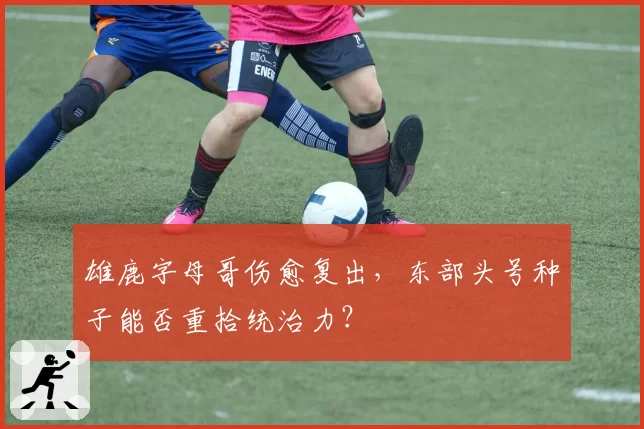 雄鹿字母哥伤愈复出,东部头号种子能否重拾统治力?